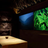 Load image into Gallery viewer, Omakase Tea Experience